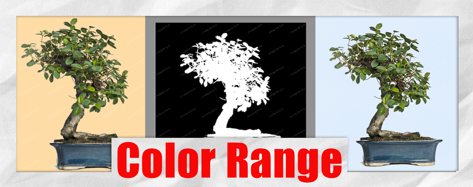 Delete Backgrounds Quickly in Photoshop: Color Range Method